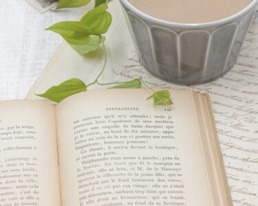 【高校受験】偏差値50～55を目指す数学の勉強法｜中学生の基礎固めからおすすめの参考書まで