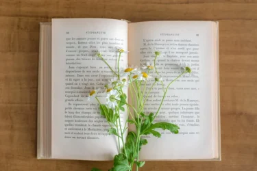  なぜ数学の授業はわかりにくいのか？-数学科に通う大学生が理由を分析してみた-